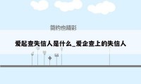 爱起查失信人是什么_爱企查上的失信人