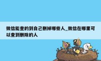 微信能查的到自己删掉哪些人_微信在哪里可以查到删除的人