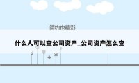 什么人可以查公司资产_公司资产怎么查