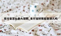 支付宝怎么查人法网_支付宝转账能查到人吗