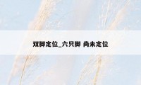 双脚定位_六只脚 尚未定位