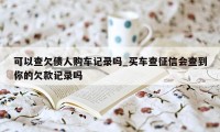 可以查欠债人购车记录吗_买车查征信会查到你的欠款记录吗