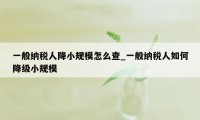 一般纳税人降小规模怎么查_一般纳税人如何降级小规模