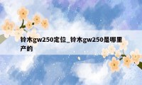 铃木gw250定位_铃木gw250是哪里产的