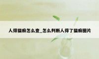 人得猫癣怎么查_怎么判断人得了猫癣图片