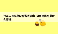 什么人可以查公司账务流水_公司查流水是什么情况