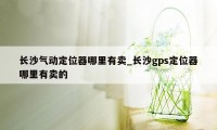 长沙气动定位器哪里有卖_长沙gps定位器哪里有卖的