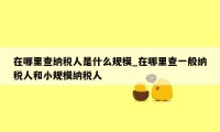 在哪里查纳税人是什么规模_在哪里查一般纳税人和小规模纳税人