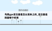 鸟类gps定位器是怎么装身上的_定位器追踪器哪个好用