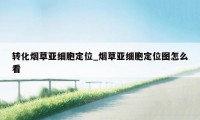 转化烟草亚细胞定位_烟草亚细胞定位图怎么看