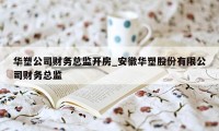 华塑公司财务总监开房_安徽华塑股份有限公司财务总监