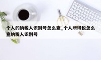 个人的纳税人识别号怎么查_个人所得税怎么查纳税人识别号