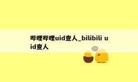 哔哩哔哩uid查人_bilibili uid查人