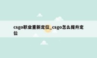 csgo职业重新定位_csgo怎么提升定位