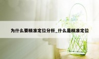 为什么要精准定位分析_什么是精准定位