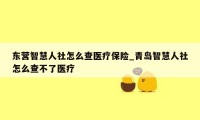 东营智慧人社怎么查医疗保险_青岛智慧人社怎么查不了医疗