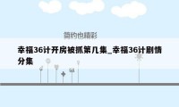 幸福36计开房被抓第几集_幸福36计剧情分集