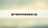 国产和同学开房的简单介绍