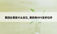 赛鸽比赛靠什么定位_赛鸽用GPS定好位环