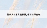 智会人社怎么查社保_中智社保查询