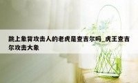 跳上象背攻击人的老虎是查吉尔吗_虎王查吉尔攻击大象