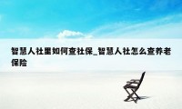 智慧人社里如何查社保_智慧人社怎么查养老保险