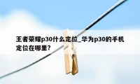 王者荣耀p30什么定位_华为p30的手机定位在哪里?