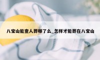 八宝山能查人葬哪了么_怎样才能葬在八宝山