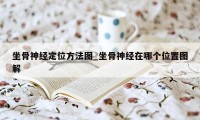 坐骨神经定位方法图_坐骨神经在哪个位置图解