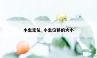 小虫定位_小虫位移的大小