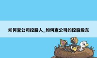 如何查公司控股人_如何查公司的控股股东