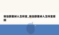 微信群里掉人怎样查_微信群里掉人怎样查原因