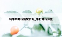 牦牛的耳标能定位吗_牛打耳标位置