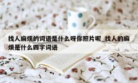 找人麻烦的词语是什么呀你照片呢_找人的麻烦是什么四字词语