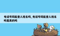 电话号码能查人姓名吗_电话号码能查人姓名吗是真的吗