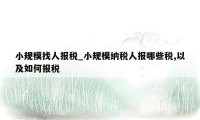 小规模找人报税_小规模纳税人报哪些税,以及如何报税