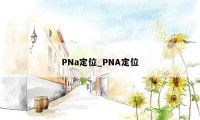 PNa定位_PNA定位