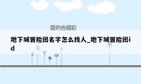 地下城冒险团名字怎么找人_地下城冒险团id