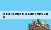 花小猪上车定位不准_花小猪怎么发定位给司机