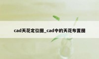 cad天花定位图_cad中的天花布置图