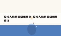 投标人信用等级哪里查_投标人信用等级哪里查询