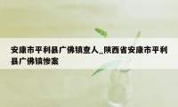 安康市平利县广佛镇查人_陕西省安康市平利县广佛镇惨案