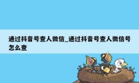 通过抖音号查人微信_通过抖音号查人微信号怎么查