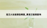 龙江人社低保在哪查_黑龙江低保查询