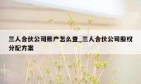 三人合伙公司账户怎么查_三人合伙公司股权分配方案