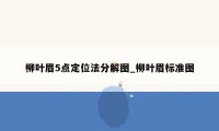 柳叶眉5点定位法分解图_柳叶眉标准图