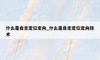 什么是自主定位定向_什么是自主定位定向技术