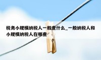 税务小规模纳税人一般查什么_一般纳税人和小规模纳税人在哪查