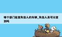 哪个部门能查失信人的车辆_失信人员可以查到吗