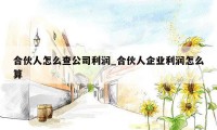 合伙人怎么查公司利润_合伙人企业利润怎么算